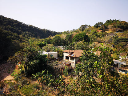  Palmiet Nature Reserve