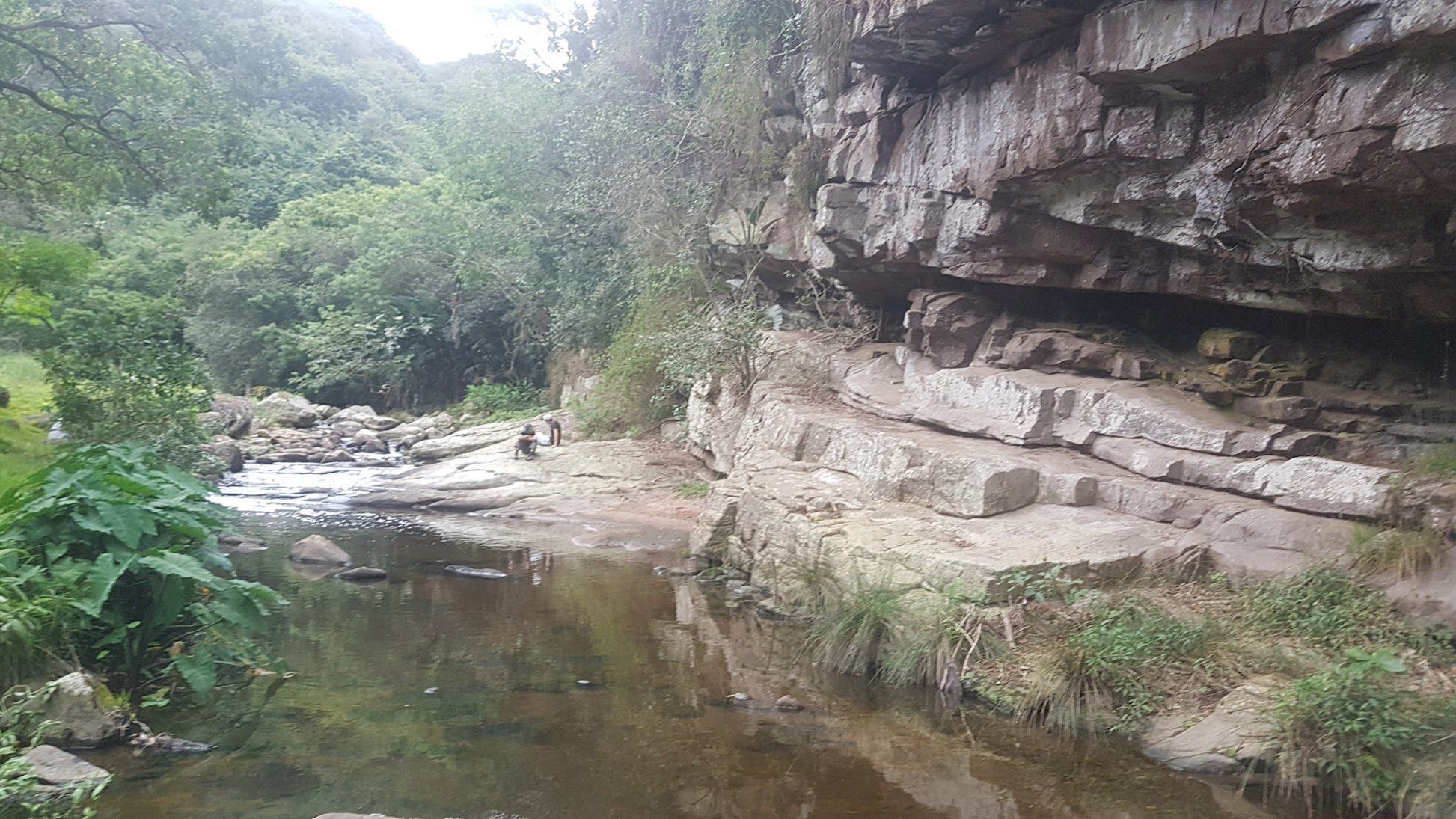  Palmiet Nature Reserve