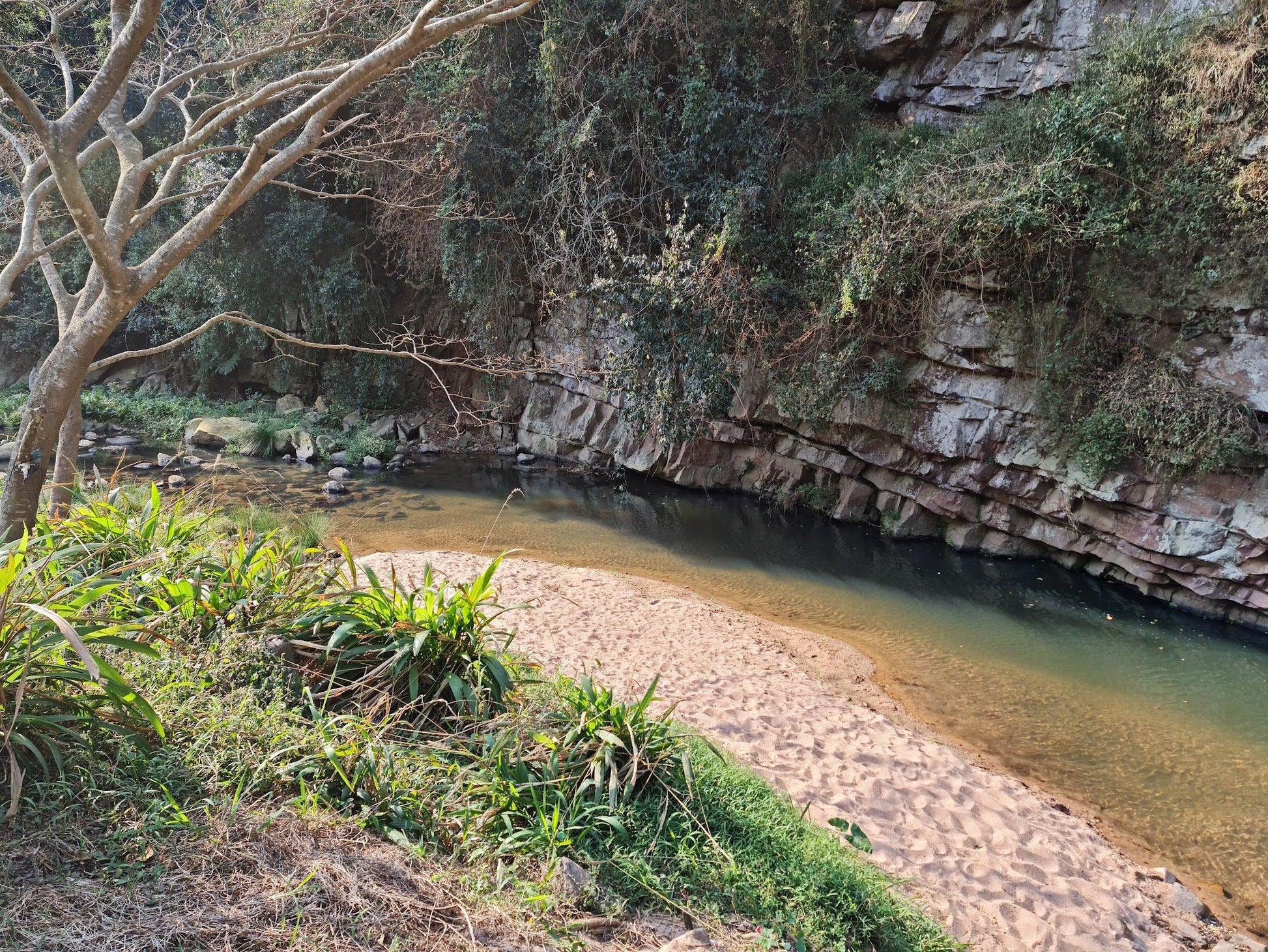  Palmiet Nature Reserve