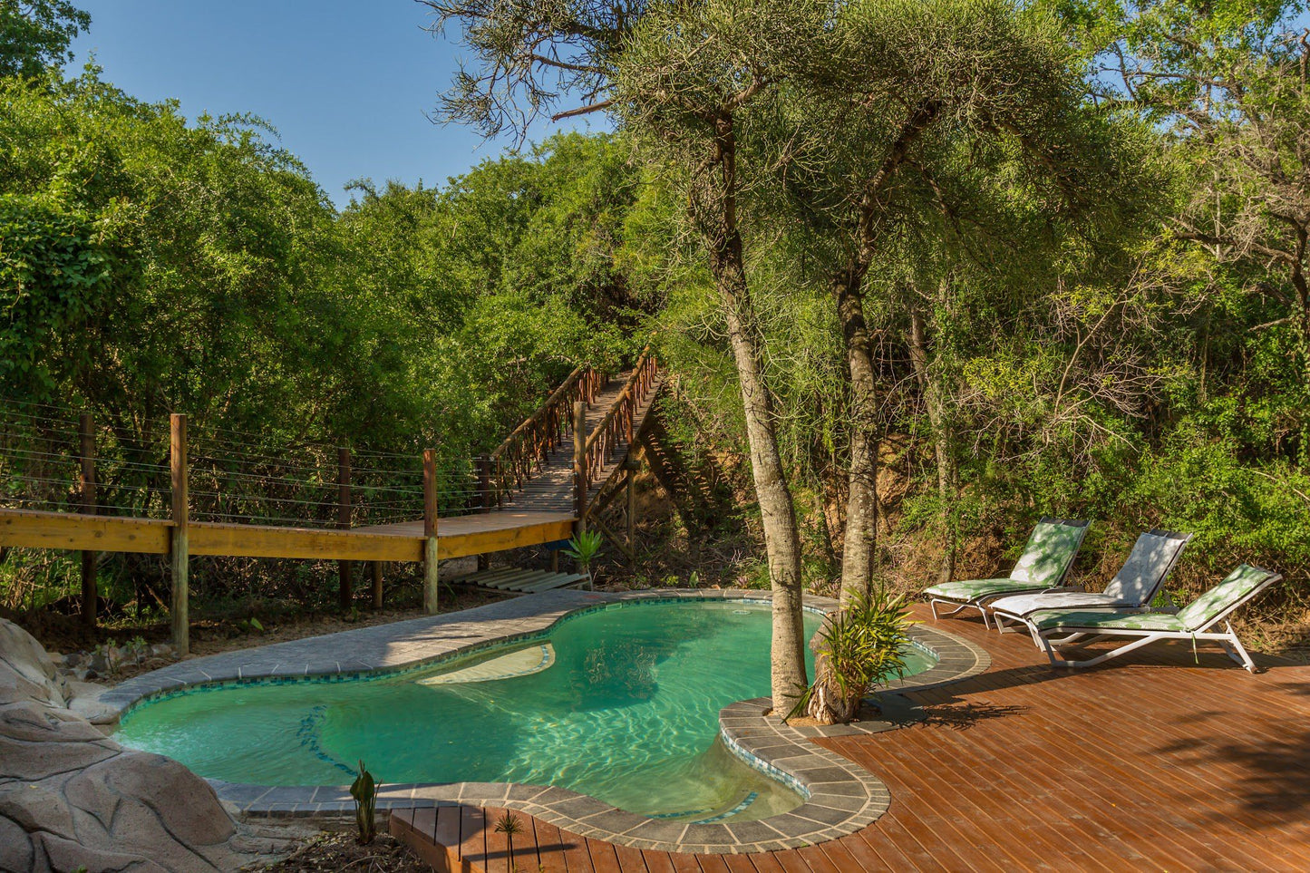  Panzi Lodge