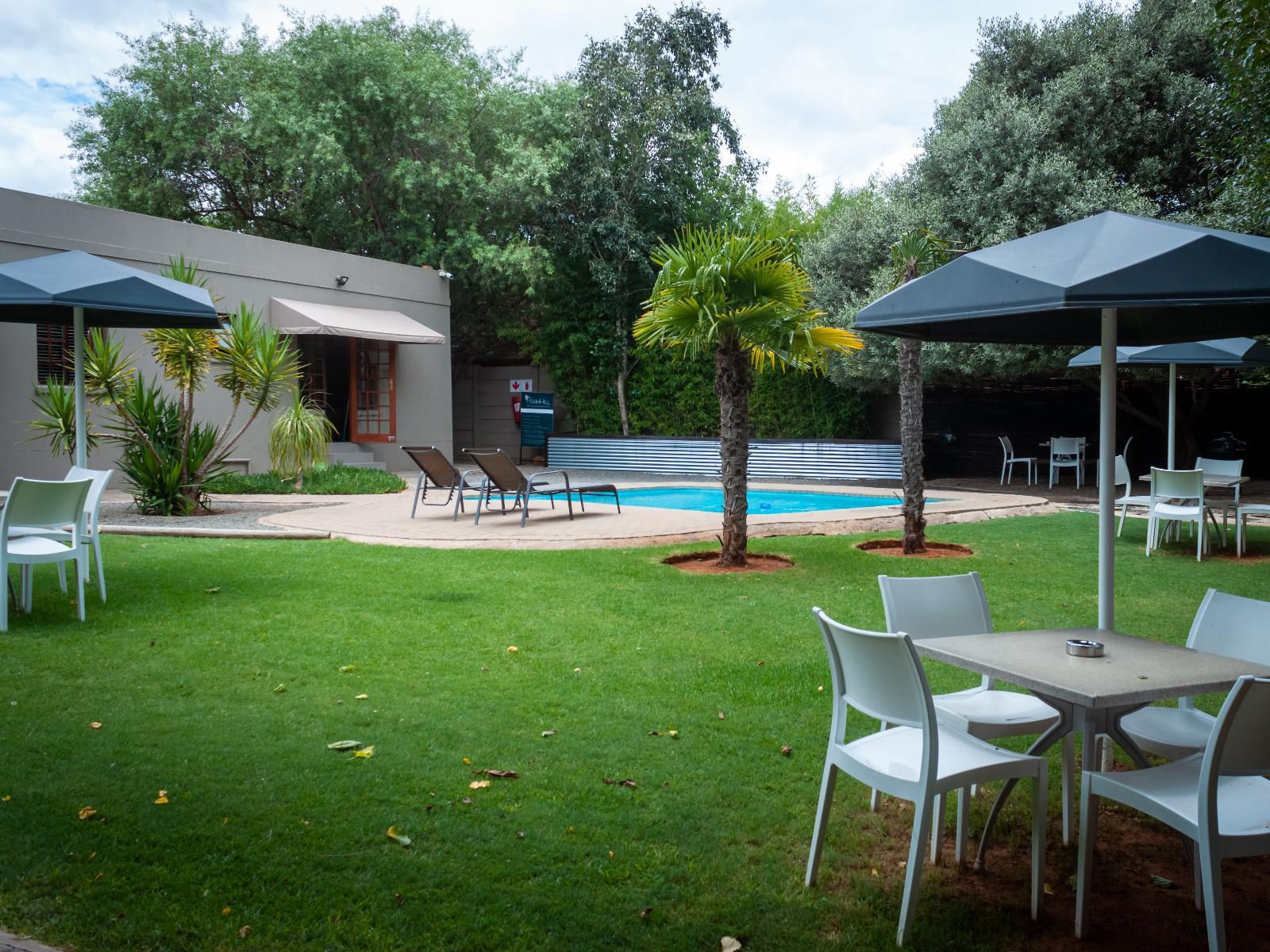 Parkhill Luxury Accommodation Langenhoven Park Bloemfontein Free State South Africa Palm Tree, Plant, Nature, Wood, Swimming Pool