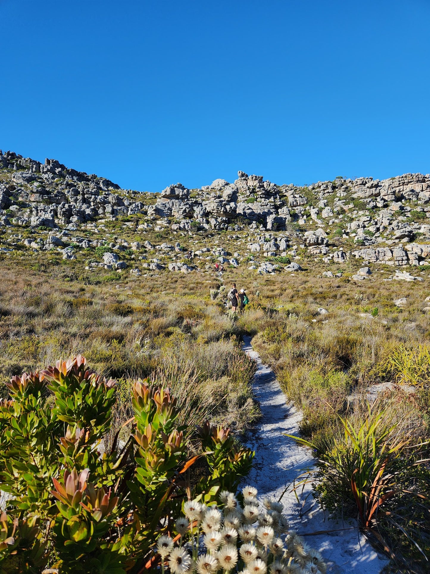 Pecks Valley Hiking Trail