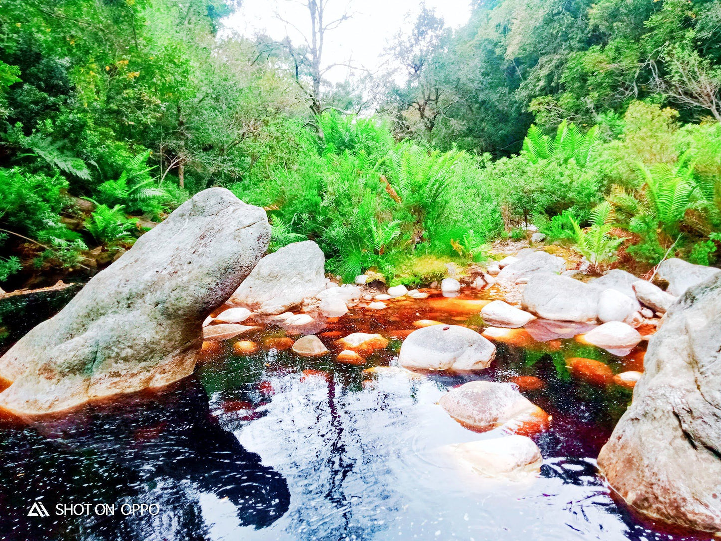  Pepsi Pools