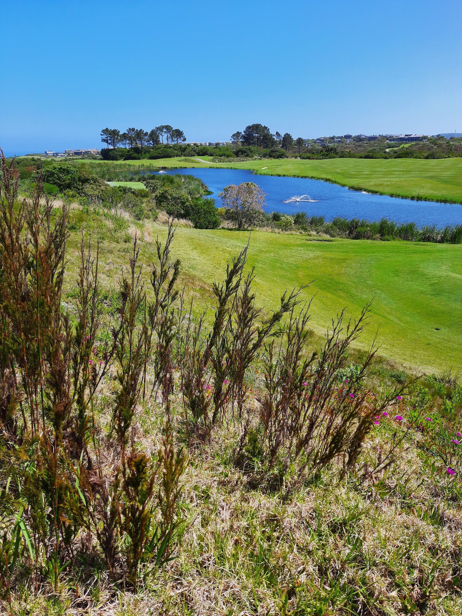  Pezula Championship Golf Club & Championship Course