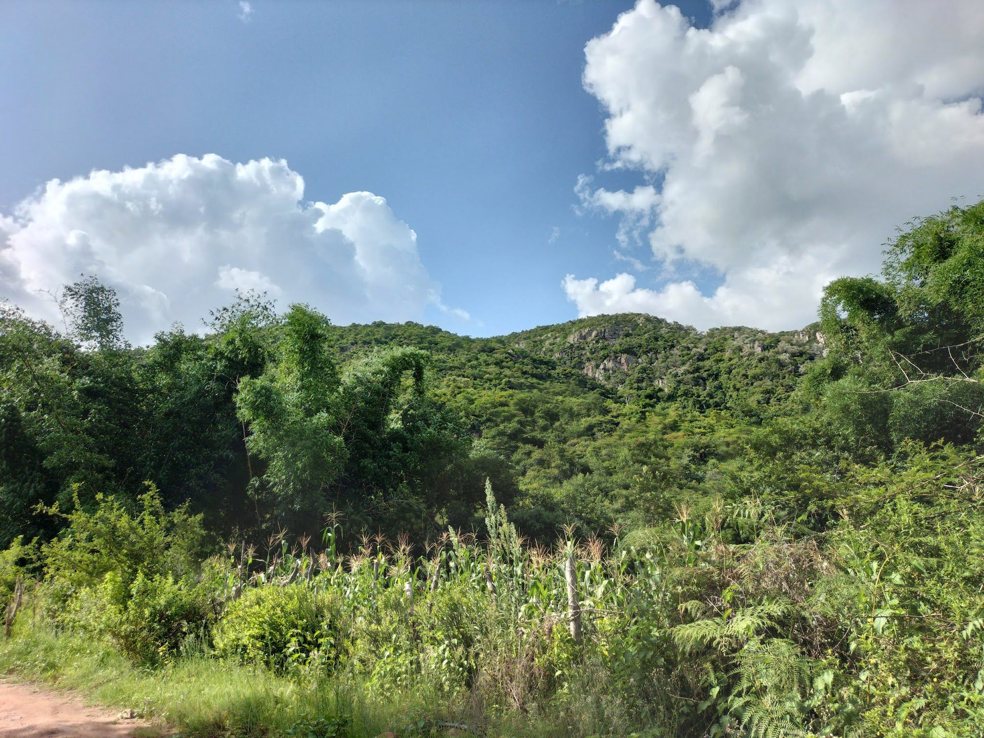  Phiphidi Waterfalls