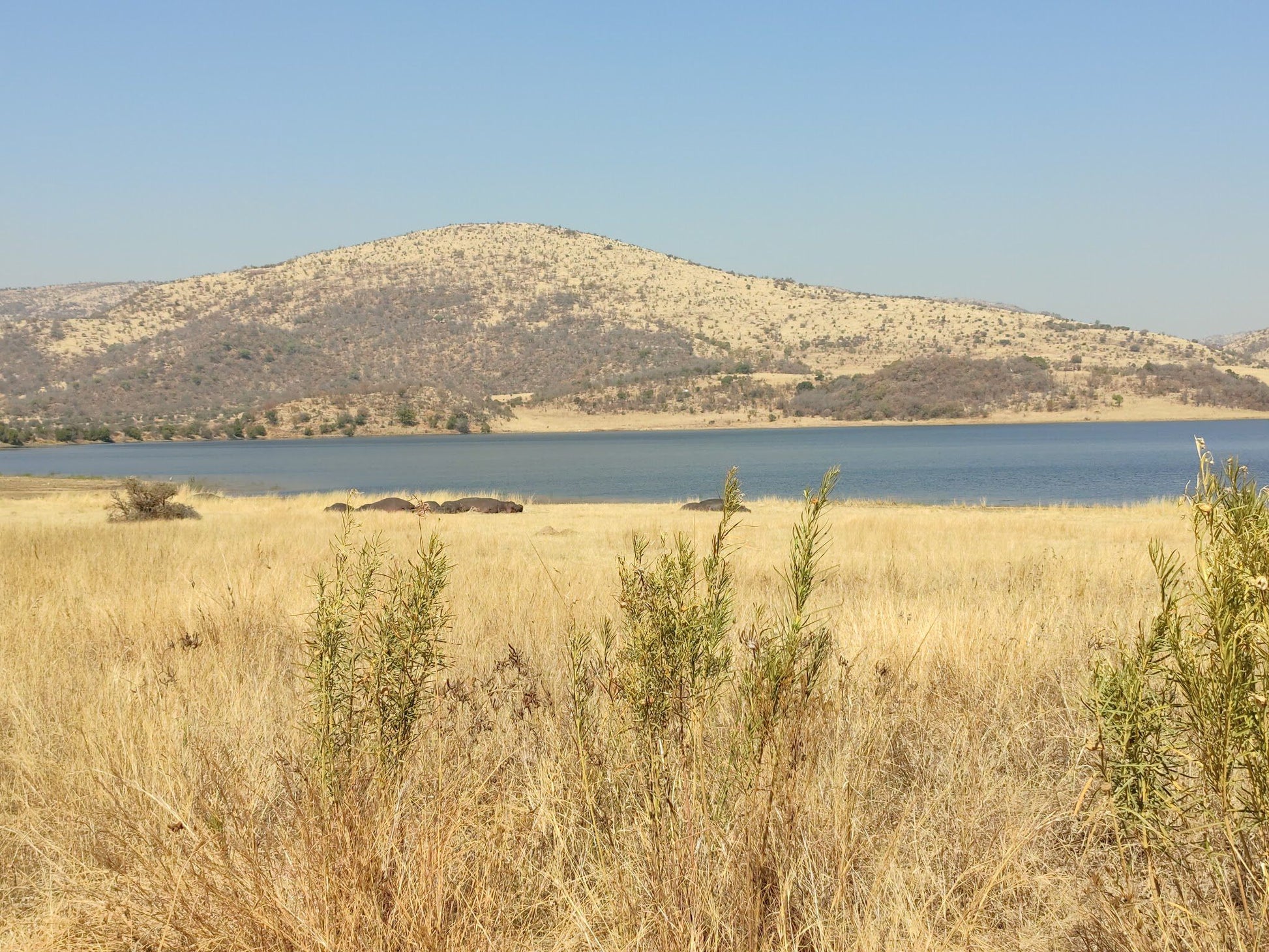  Pilanesberg National Park