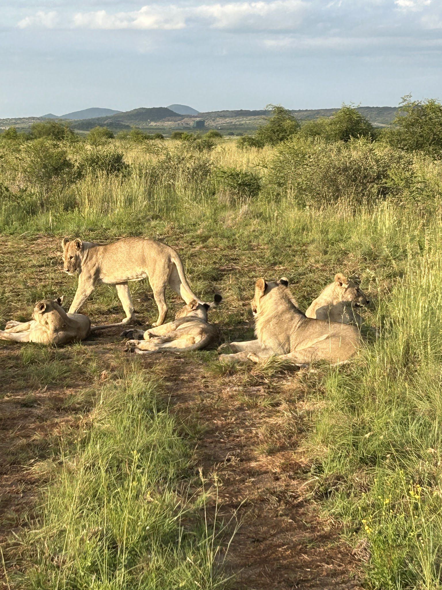  Pilanesberg National Park