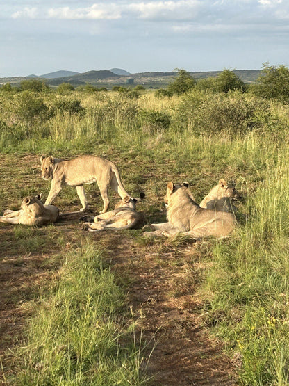  Pilanesberg National Park