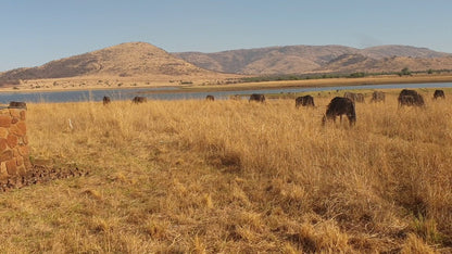  Pilanesberg National Park