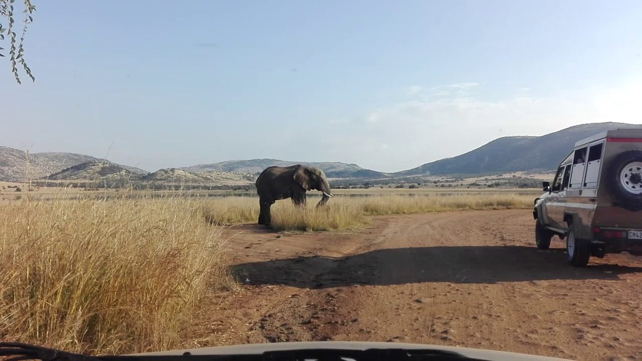  Pilanesberg National Park