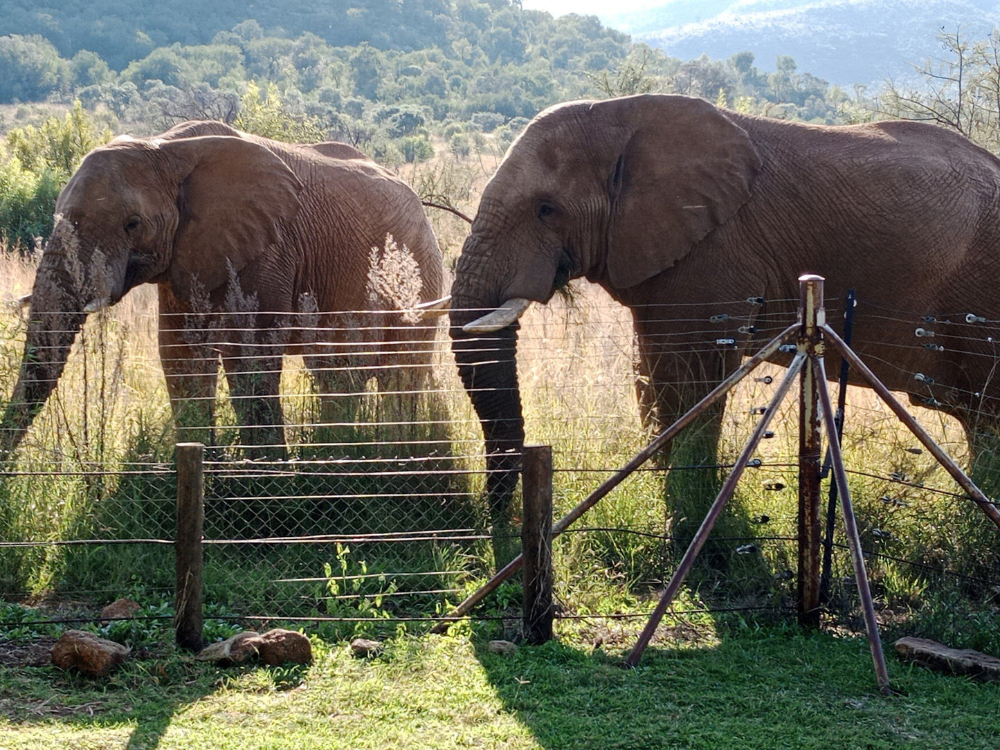  Pilanesberg National Park