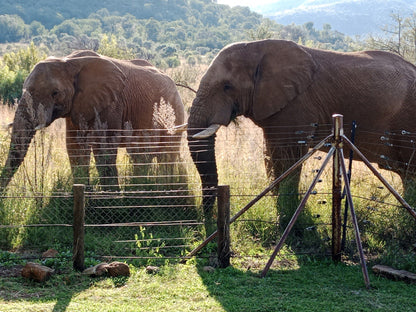  Pilanesberg National Park