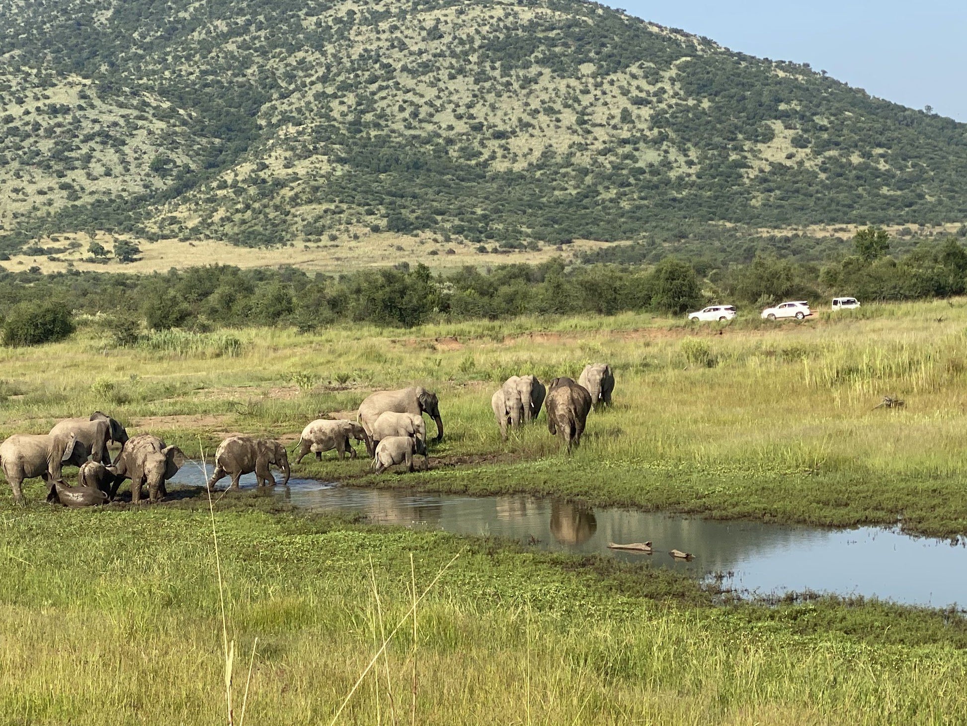  Pilanesberg National Park