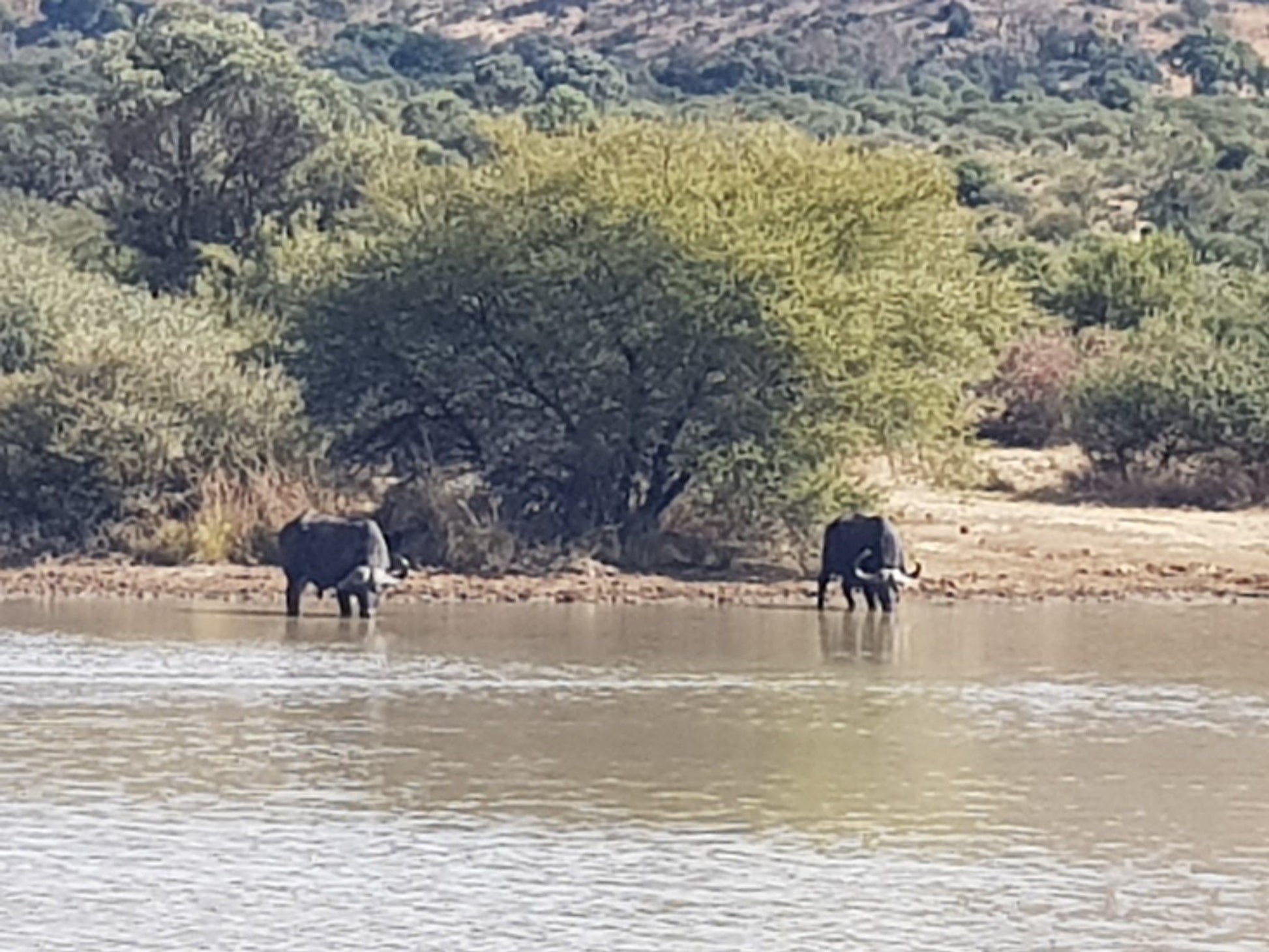  Pilanesberg National Park