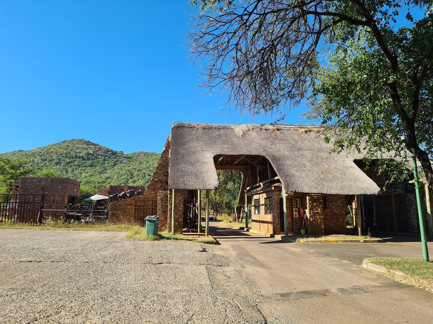  Pilanesberg National Park