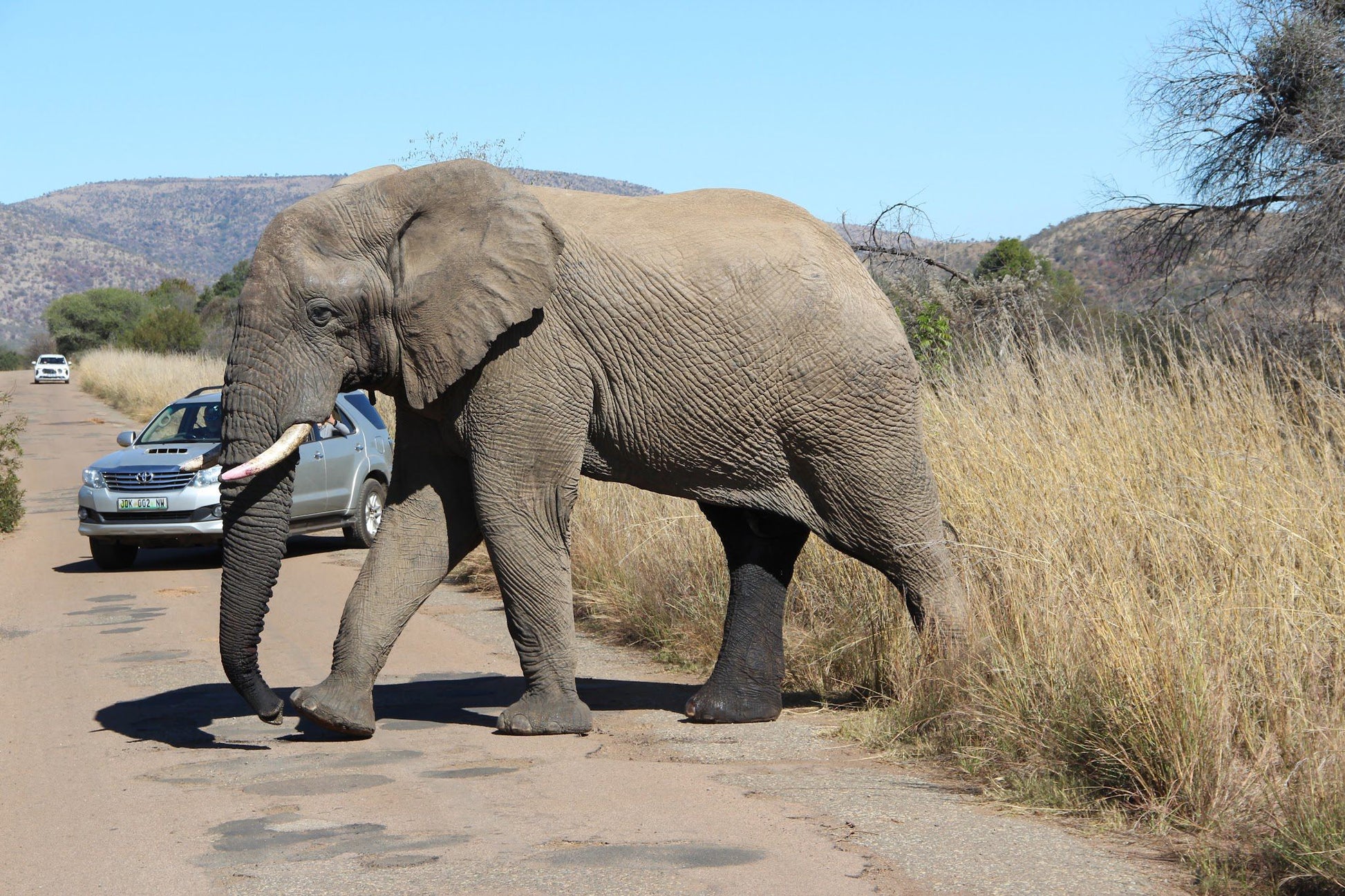  Pilanesberg National Park