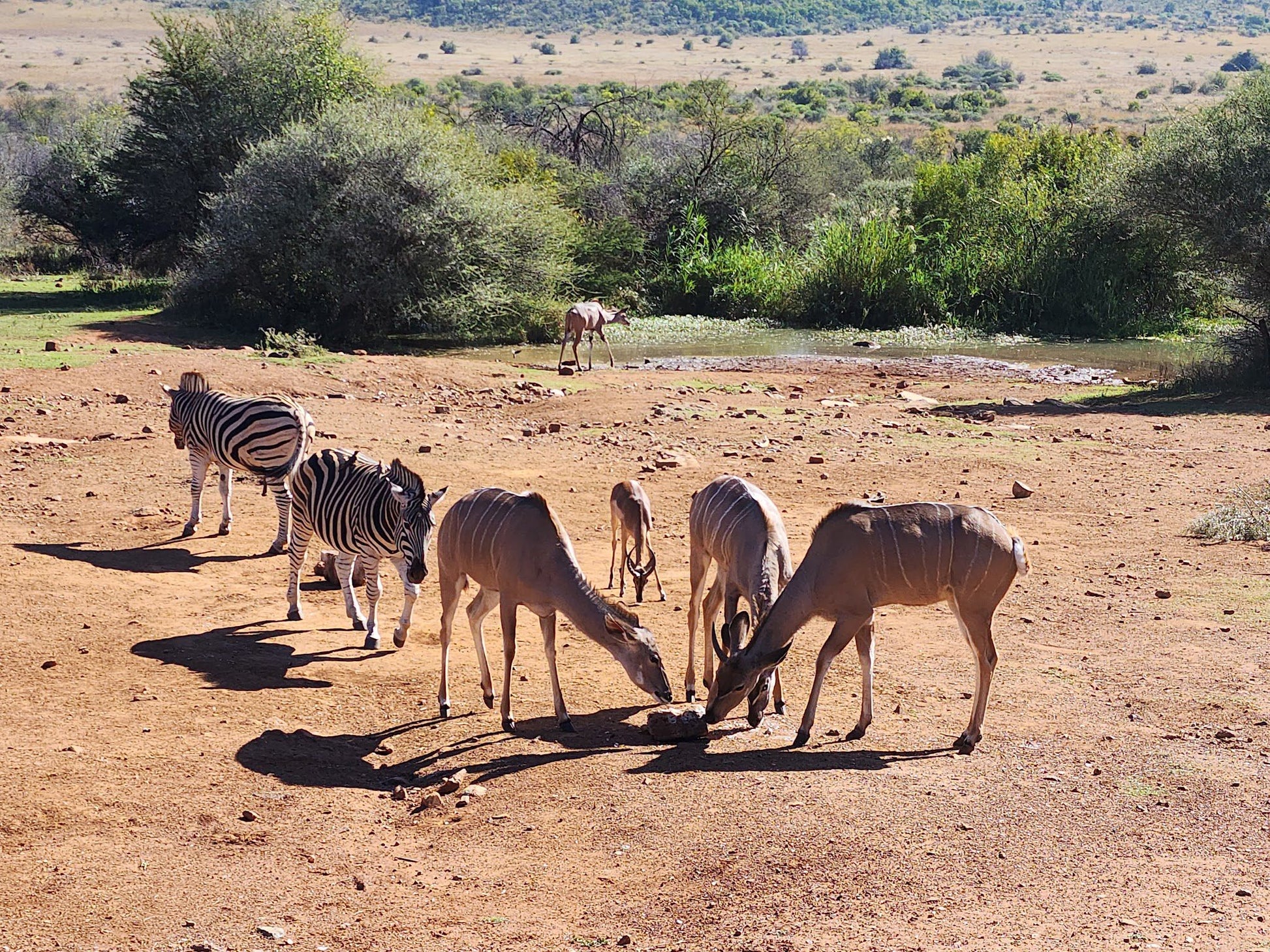  Pilanesberg National Park