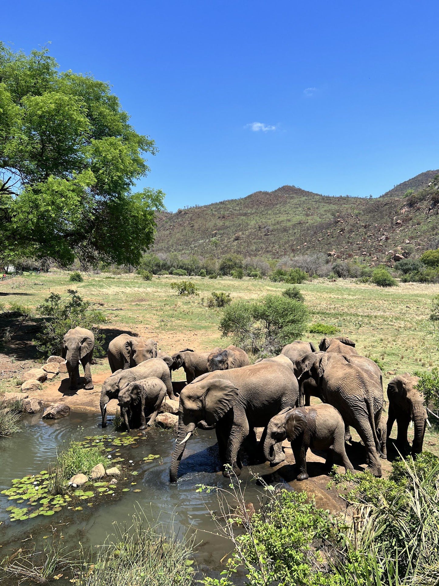  Pilanesberg National Park