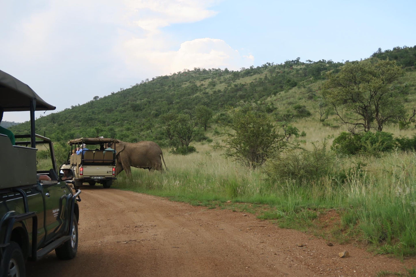 Pilanesberg