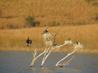 Pilanesberg