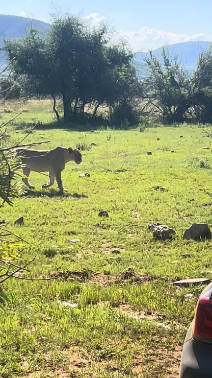 Pilanesberg