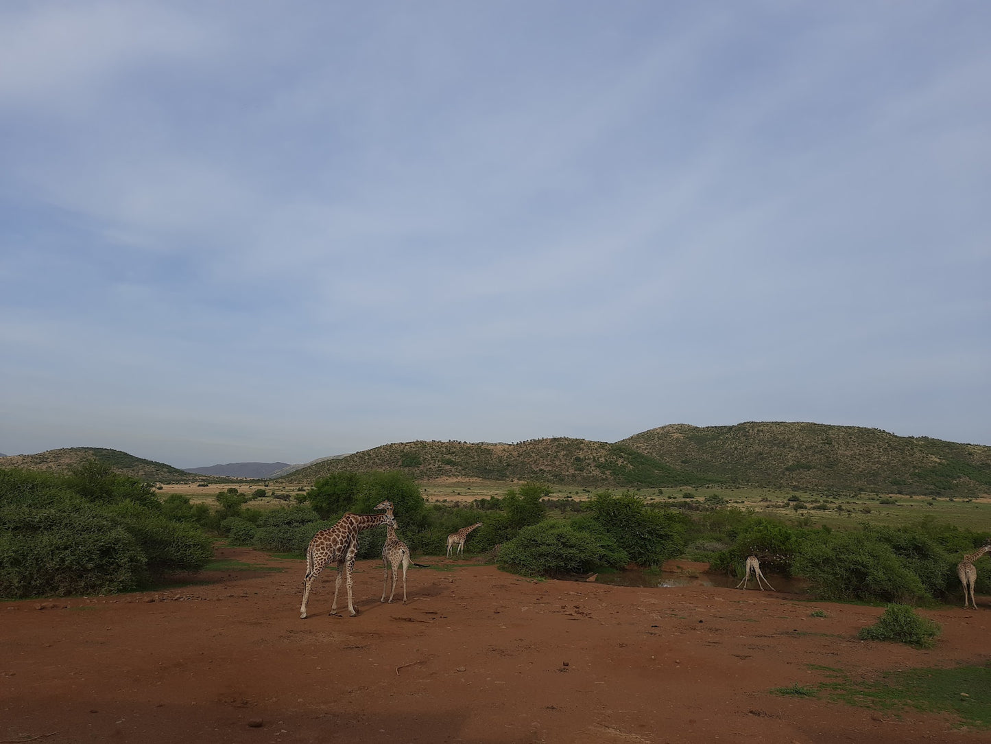 Pilanesberg