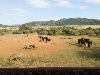 Pilanesberg