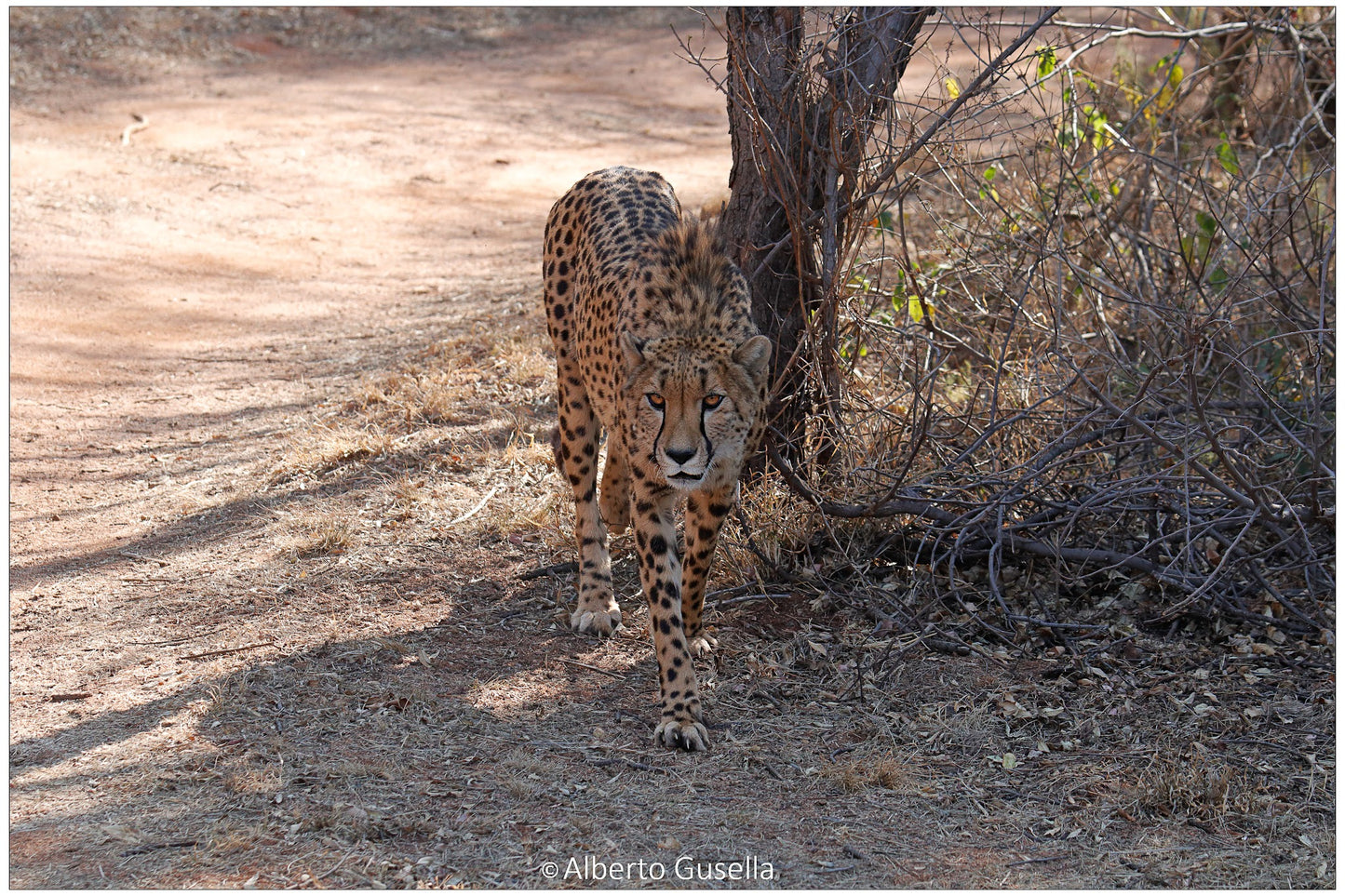 Pilanesberg