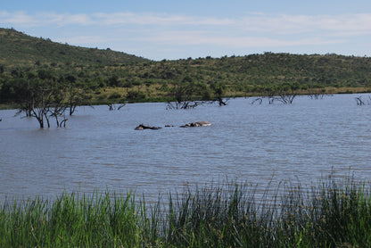 Pilanesberg