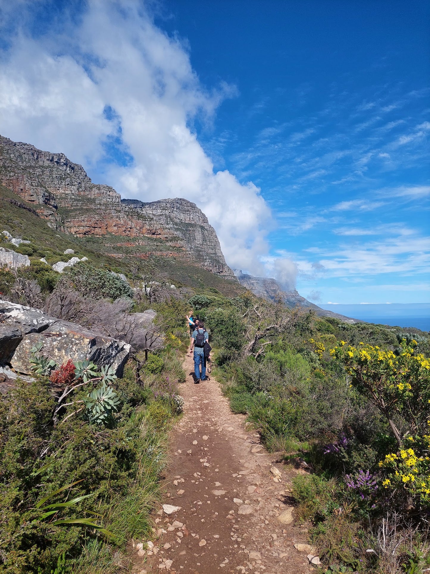 Pipe Track Trail