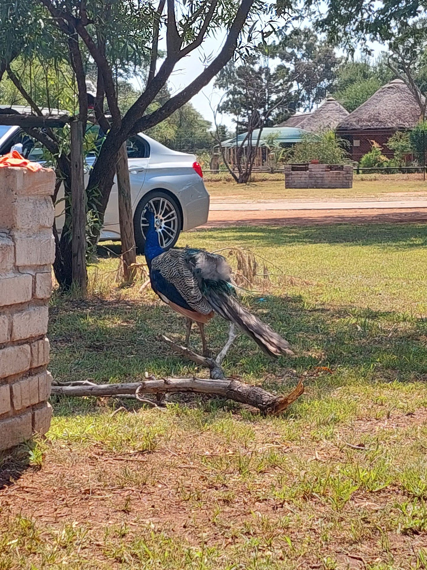  Polokwane Nature Reserve