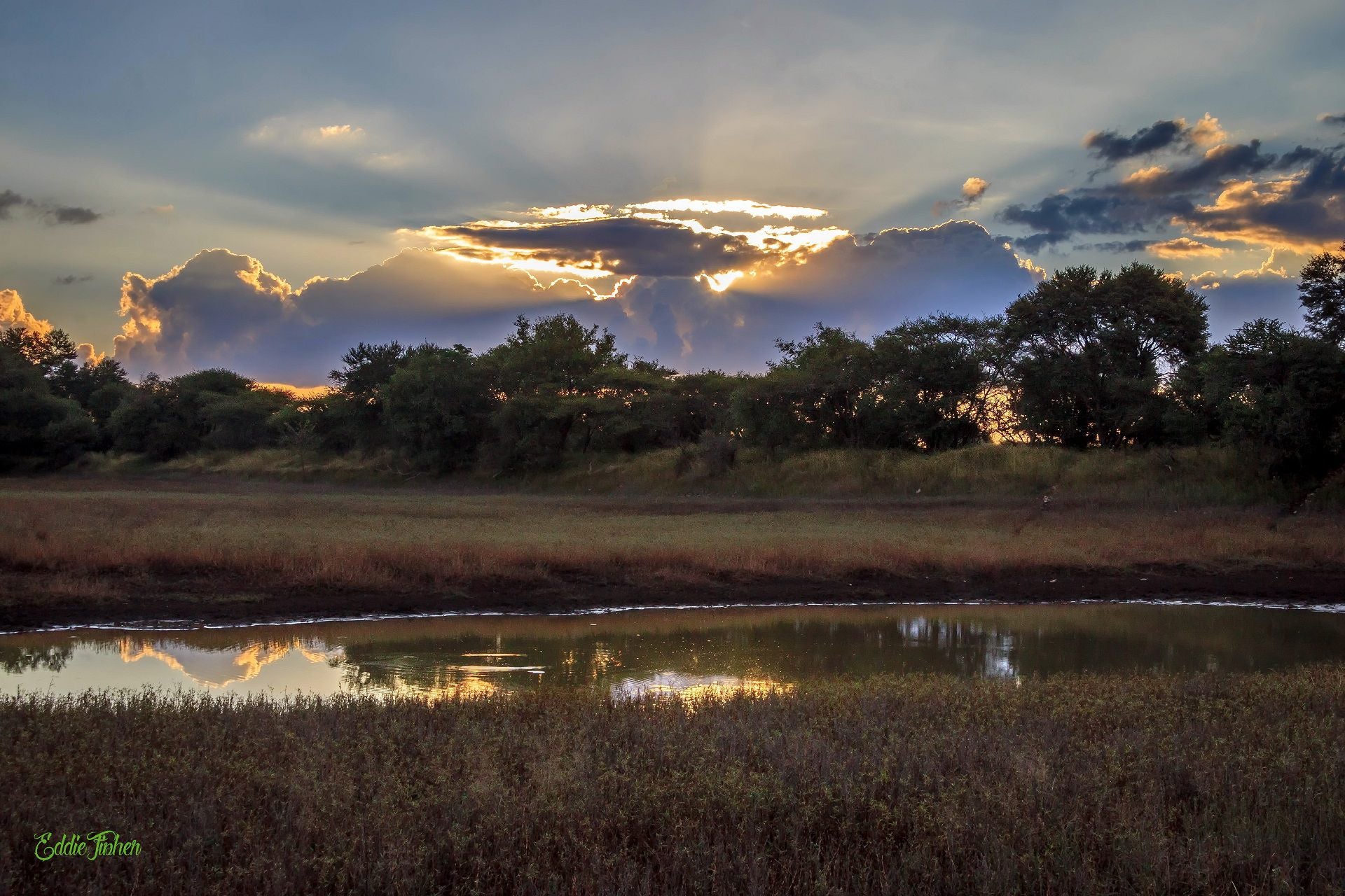  Polokwane Nature Reserve