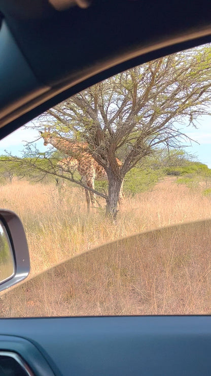  Polokwane Nature Reserve