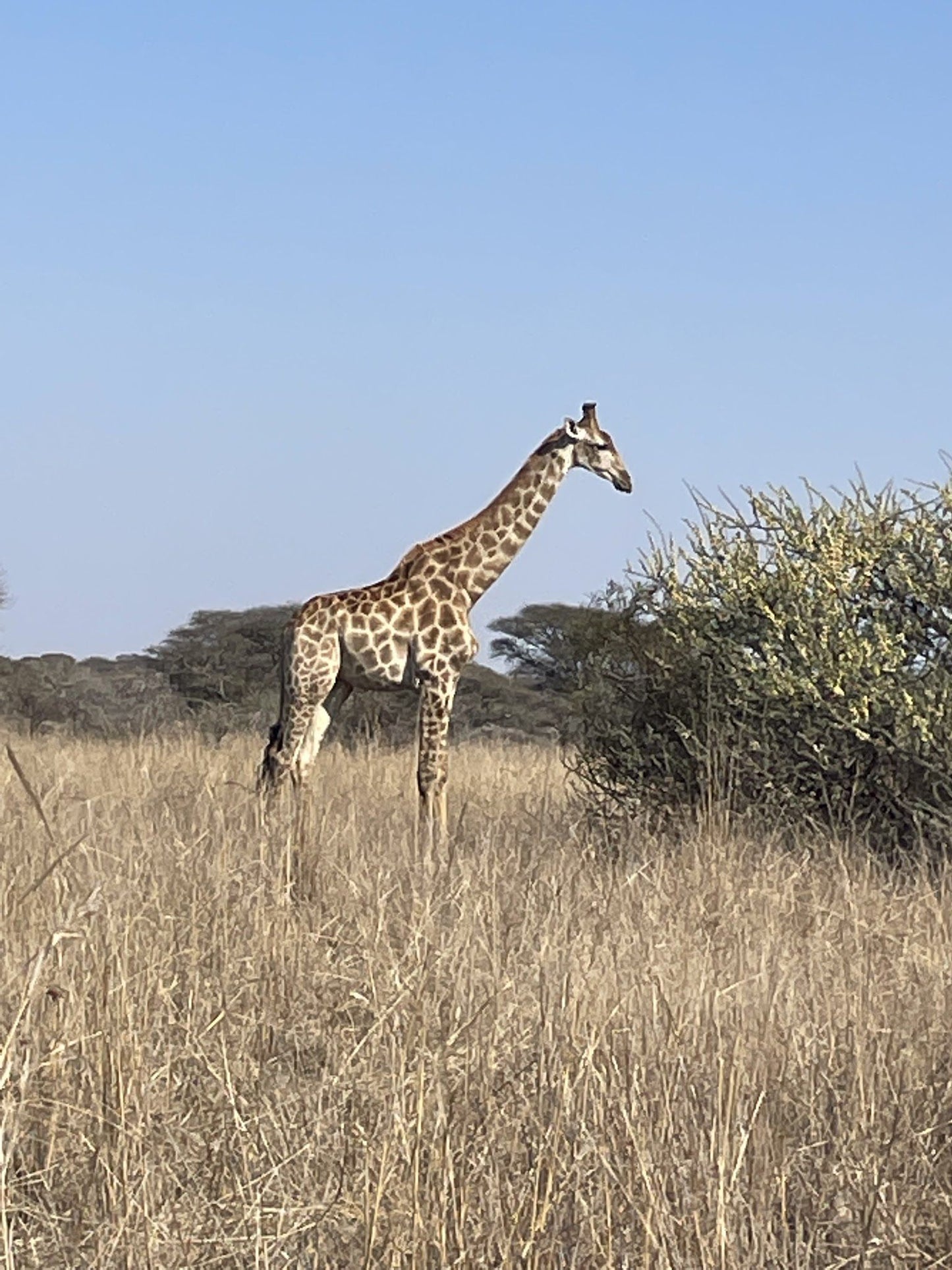  Polokwane Nature Reserve