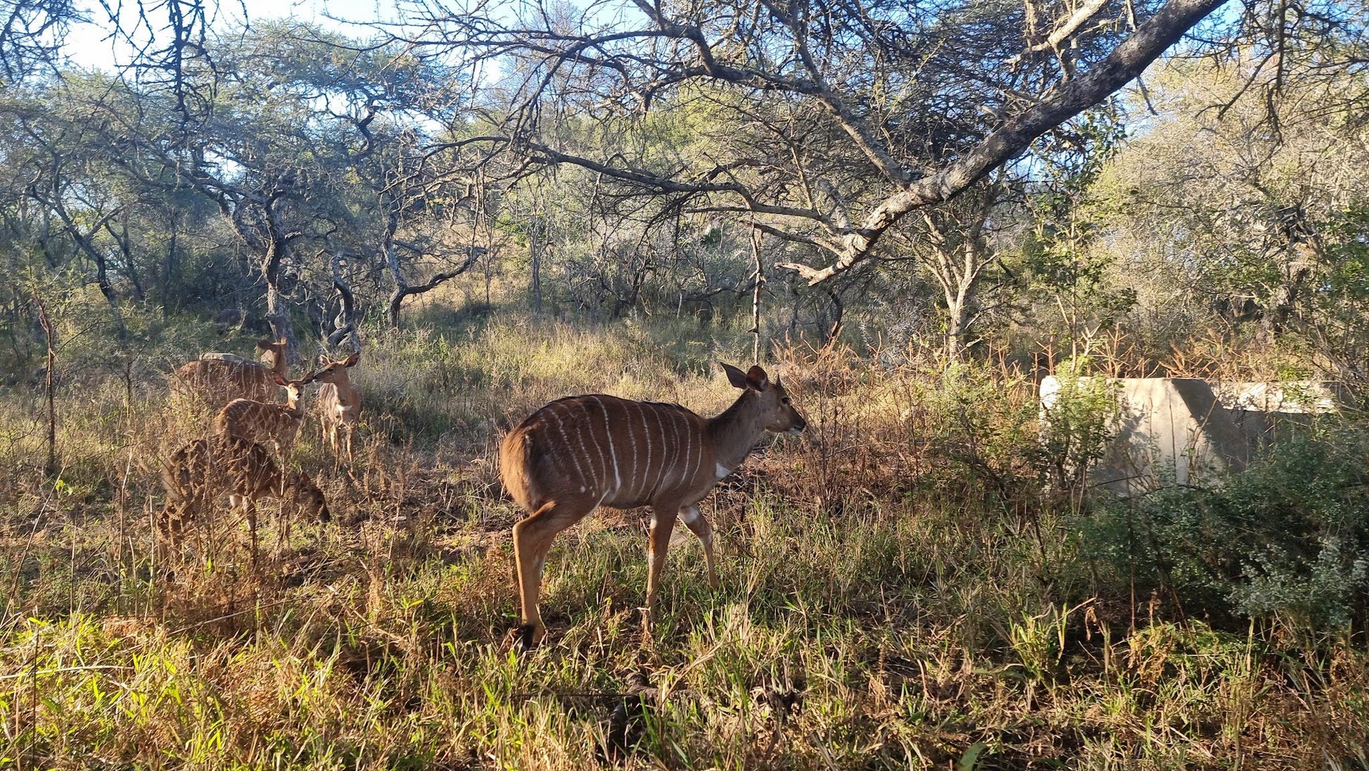  Polokwane Nature Reserve