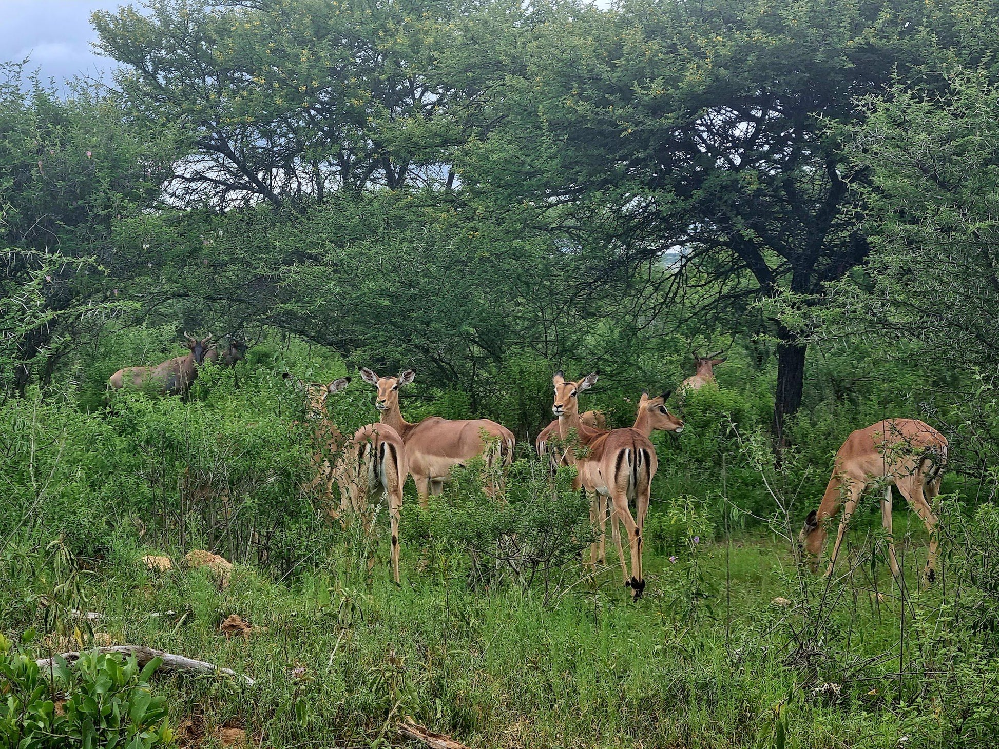  Polokwane Nature Reserve