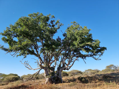  Polokwane Nature Reserve