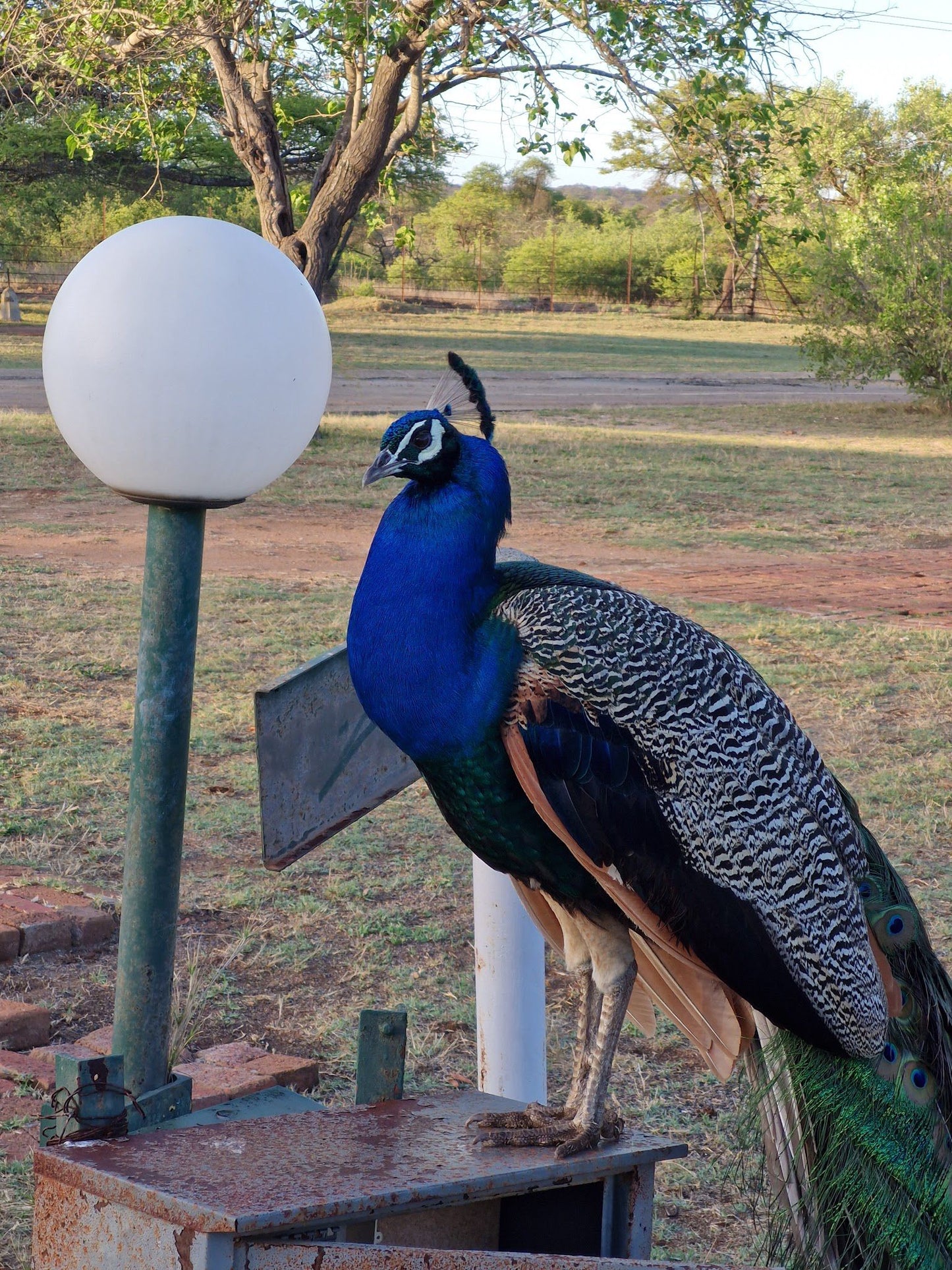  Polokwane Nature Reserve