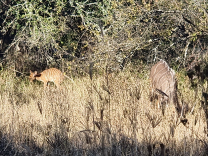  Polokwane Nature Reserve