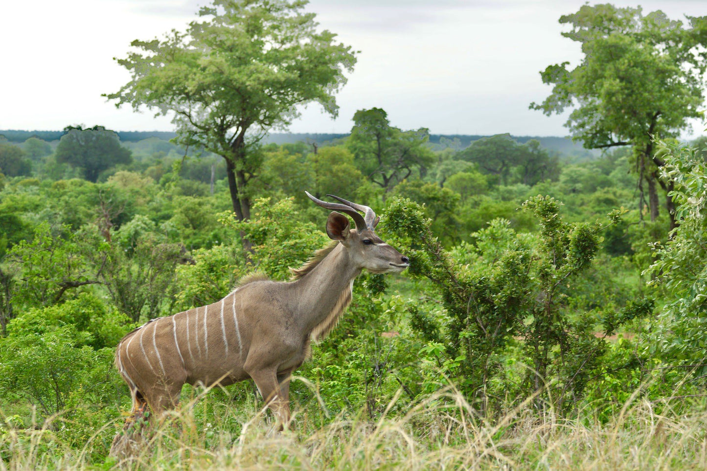  Polokwane Nature Reserve