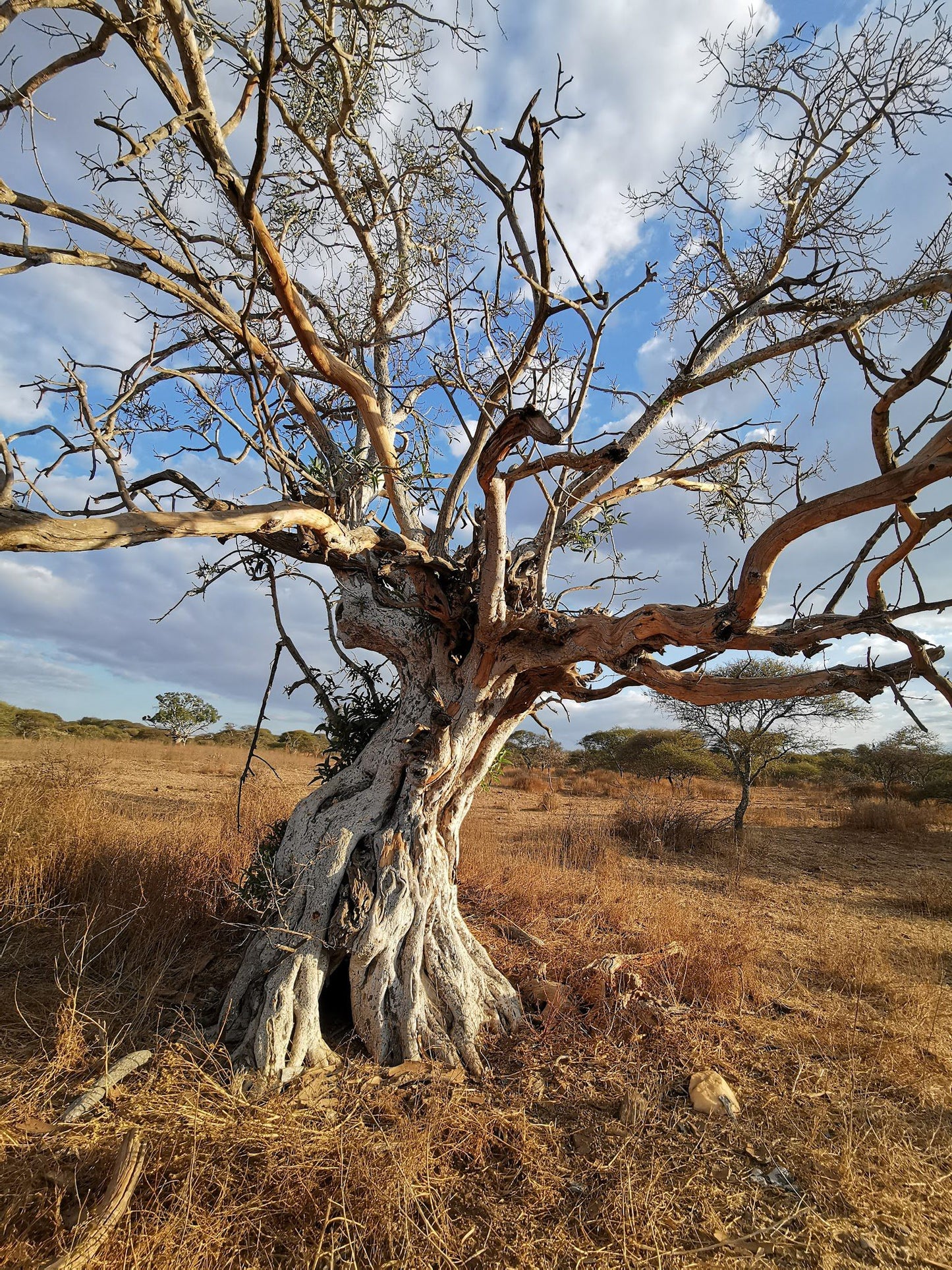  Polokwane Nature Reserve