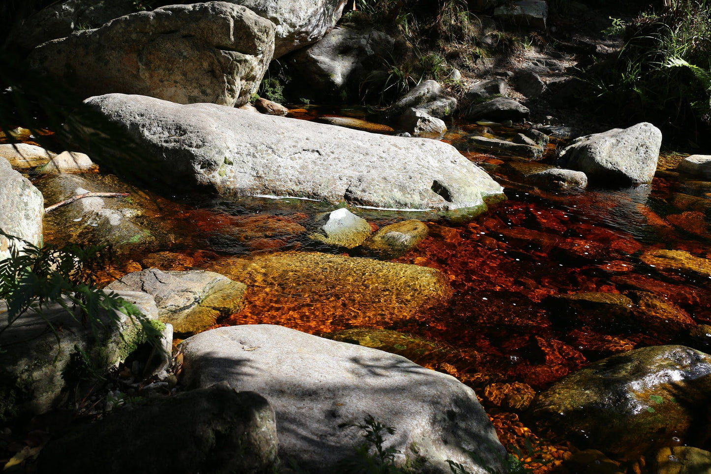 Power Stream Hiking Trail