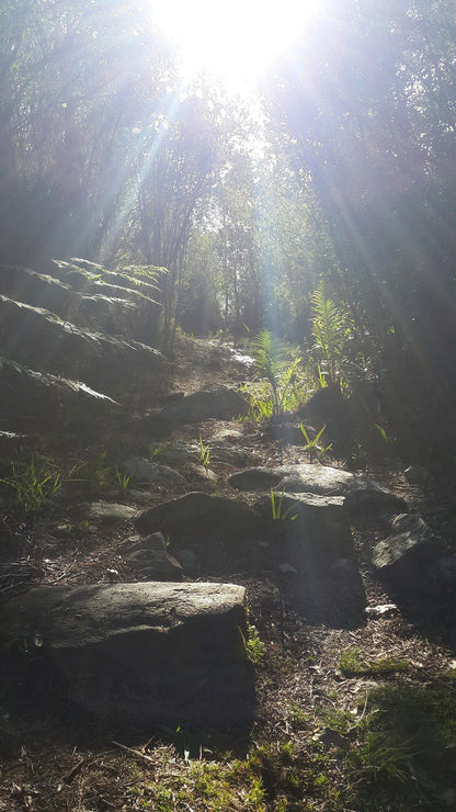 Power Stream Hiking Trail