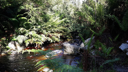 Power Stream Hiking Trail