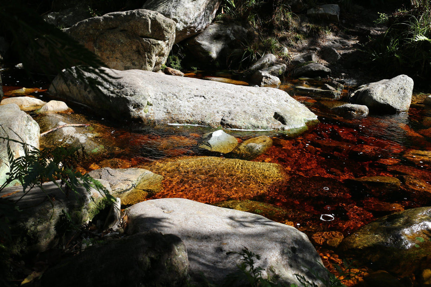 Power Stream Hiking Trail