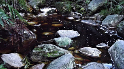 Power Stream Hiking Trail