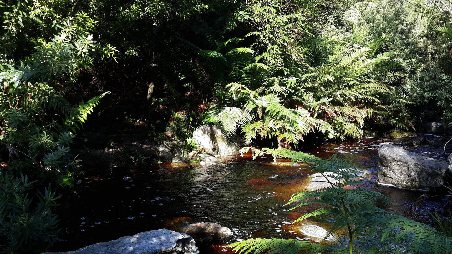 Power Stream Hiking Trail