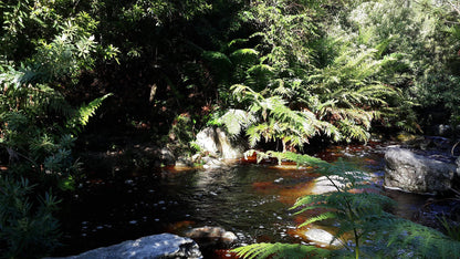 Power Stream Hiking Trail