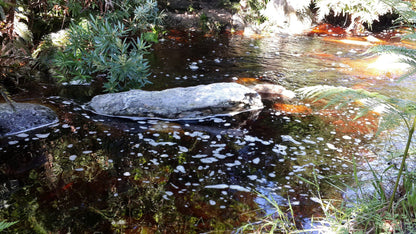 Power Stream Hiking Trail