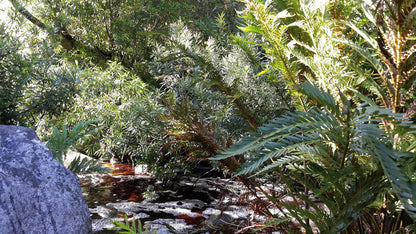 Power Stream Hiking Trail